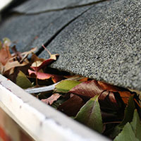 Gutter cleaning