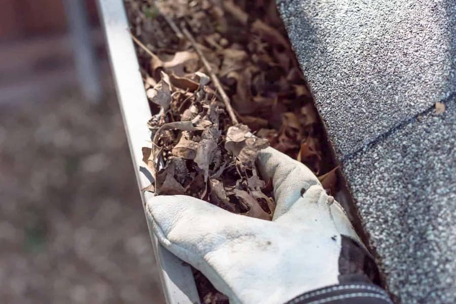 Gutter cleaning