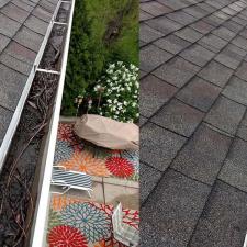 Gutter Cleaning Benefits