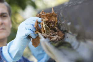 Residential Gutter Cleaning