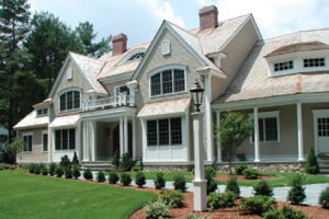 Professional Roof Cleaning