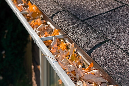 The hidden dangers of clogged gutters for greenville wi homeowners
